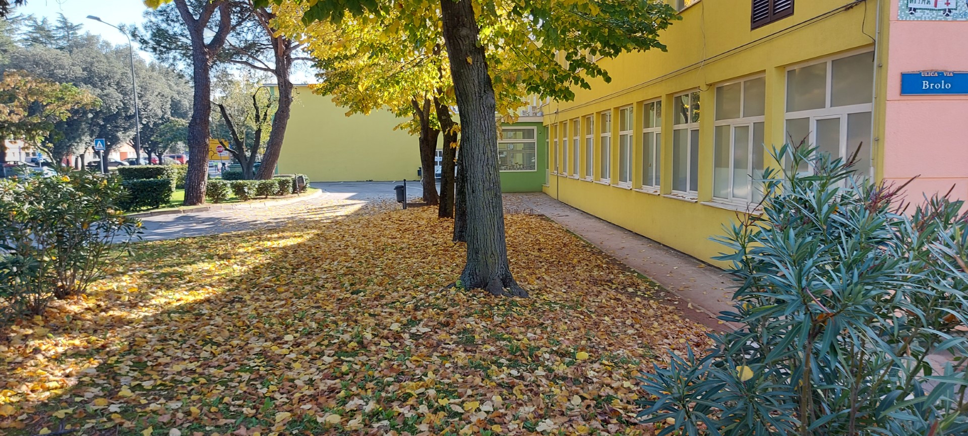 Foto stih: Riječi nastale u pogledu